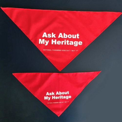bandana