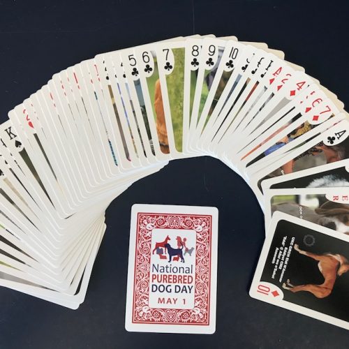 Playing Cards!