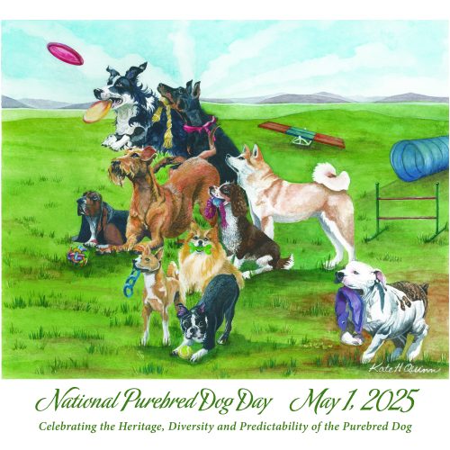 National Purebred Dog Day Official Poster for 2025